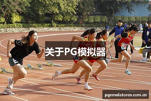 关于PG模拟器